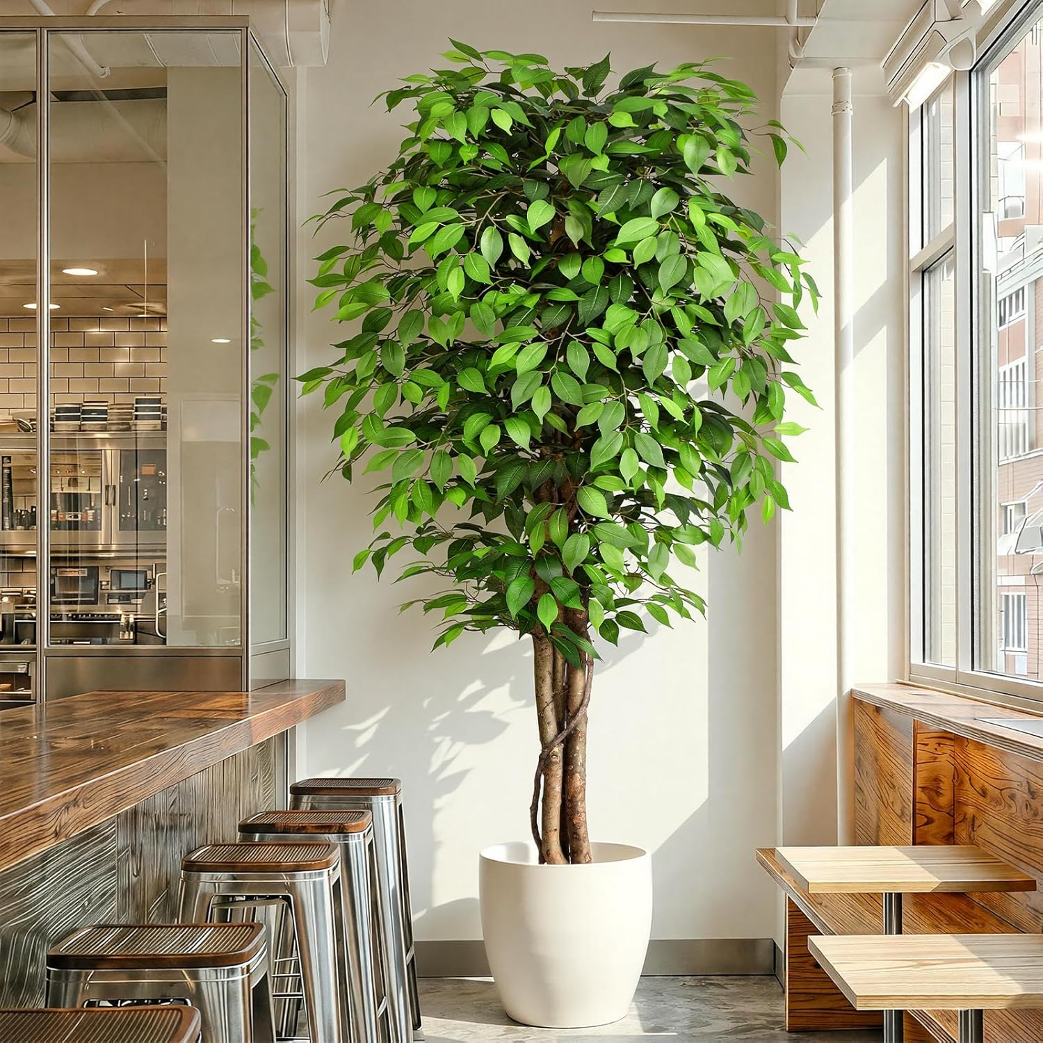 ต้นไทรประดิษฐ์เสมือนจริงพร้อมล - Ficus Lyrata Tree บทวิจารณ์และราคา