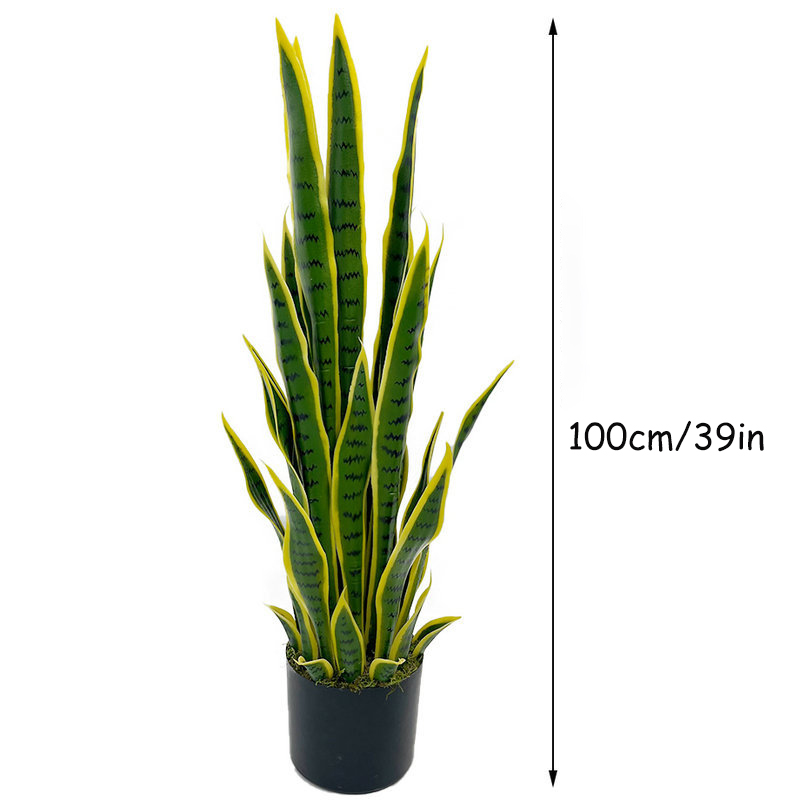 ต้นงูเหลือมปลอมขนาด 40-100 ซม. - Ficus Lyrata Tree บทวิจารณ์และราคา