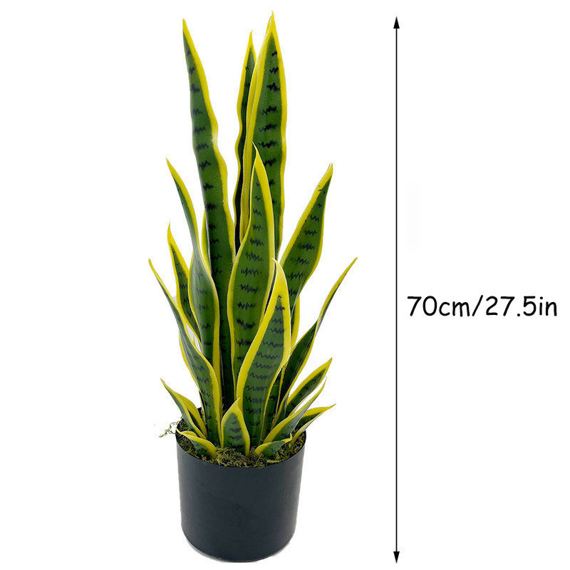 ต้นงูเหลือมปลอมขนาด 40-100 ซม. - Ficus Lyrata Tree บทวิจารณ์และราคา